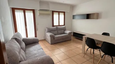 Apartment in Ciudad de Asís photo 9