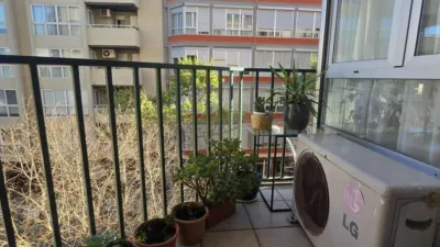 Apartment in Bons Aires photo 30