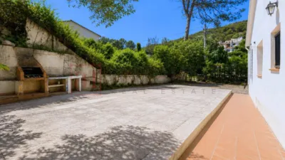 House in Mas Mestre photo 4