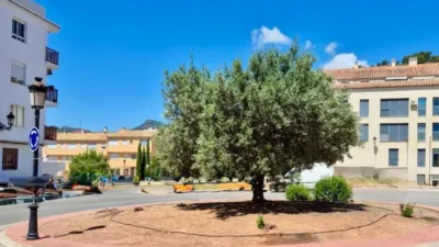 Apartment at Carrer Pou, 2 photo 53