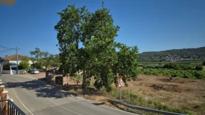 Apartment at Carrer Pou, 2 photo 44