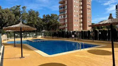 Pis – Guardamar del Segura - Vista 2