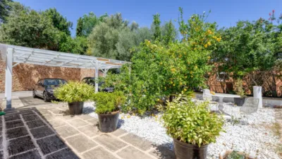 Chalet in Ses Rogetes photo 42