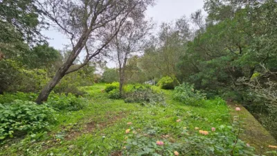 Terreno en venta en El Montgó - Vista 5