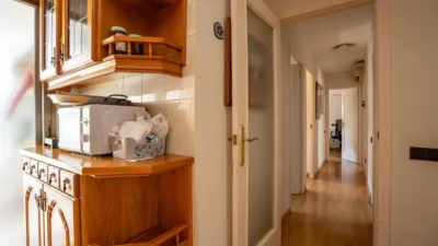 Apartment in Juan Carlos I photo 7