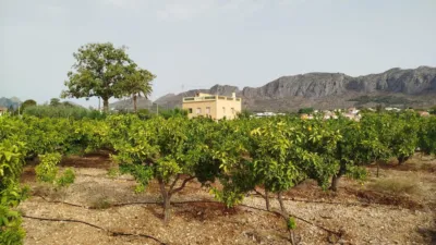 Casa - Vista 5