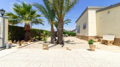 Casa en Urbanización Limoneros-Alted photo 32