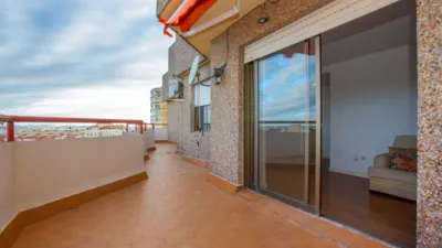 Apartment in Parque Avenida photo 29