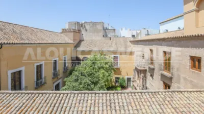 Apartment in City Centre photo 40