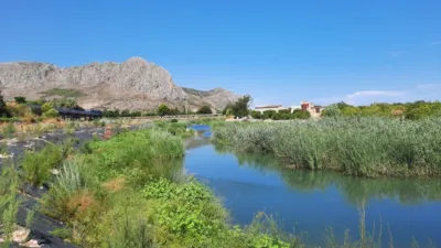Rustic Finca in Pedregals photo 6