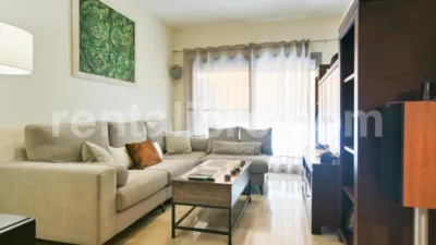 Apartment on Séneca Street photo 7