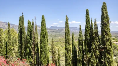 Chalet in Ses Rogetes photo 48