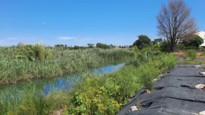Rustic Finca in Pedregals photo 7