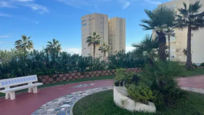 Apartment at Prof. Rafael Casasempere Street, No. 1 photo 29