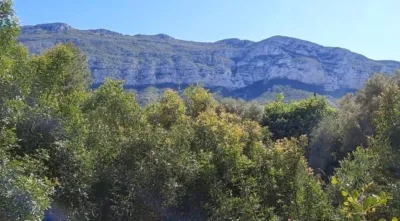 Terreno en venta en El Montgó - Vista 2