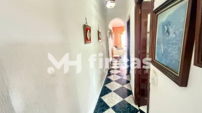 Apartment in Plaza del Perejil photo 14