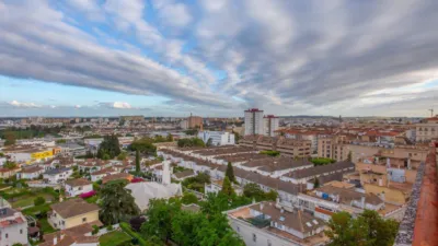 Apartment in Parque Avenida photo 33
