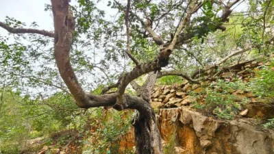 Terreno en venta en El Montgó - Més