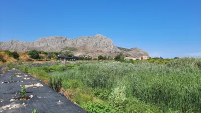 Rustic Finca in Pedregals photo 9