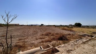 Rustic Finca on Carrer La Serreta photo 23