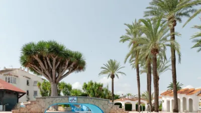 Terraced House in El Palmar-Los Molinos photo 27