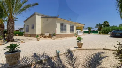 Casa en Urbanización Limoneros-Alted photo 33