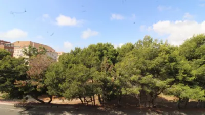 Apartamento en Carrer Beniel photo 18