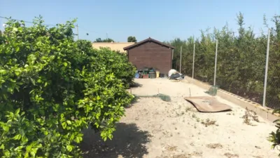 Chalet in Costa Blanca South photo 30