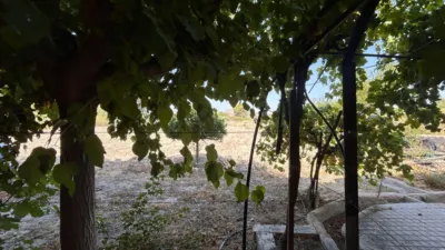 Rustic Finca on Carrer La Serreta photo 21
