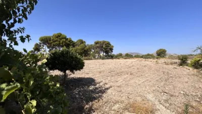 Rustic Finca on Carrer La Serreta photo 22