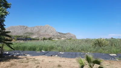 Rustic Finca in Pedregals photo 5