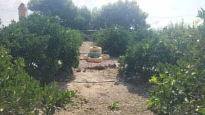 Chalet in Costa Blanca South photo 37