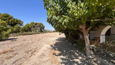 Rustic Finca on Carrer La Serreta photo 24