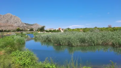 Rustic Finca in Pedregals photo 13