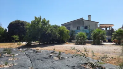 Rustic Finca in Pedregals photo 2