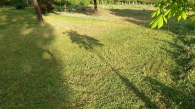Rustic Finca in El Monte photo 33