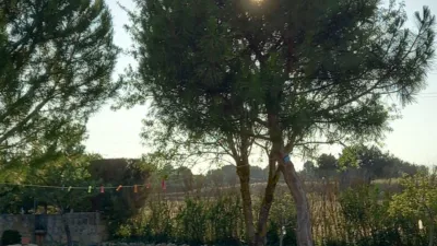 Rustic Finca in El Monte photo 28