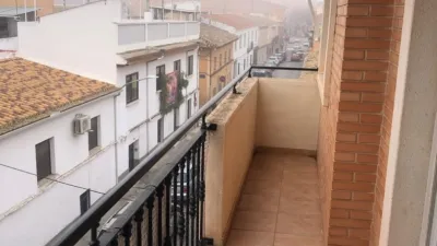 Miniatura 10