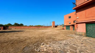 Rustic finca on Madrid-Cadiz Road Km 311 photo 34