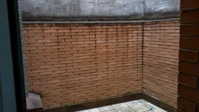 Miniatura 12