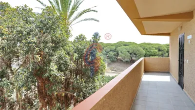 Apartment in Urbanización Lomas del Polo, 4 photo 31