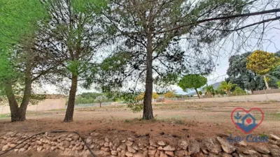 Rustic Finca in Montisol photo 31