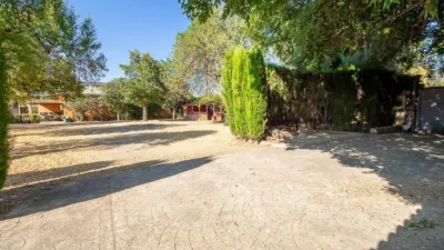 Rustic Finca in Establiments - Son Sardina photo 57
