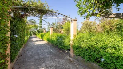 Rustic Finca in Establiments - Son Sardina photo 2