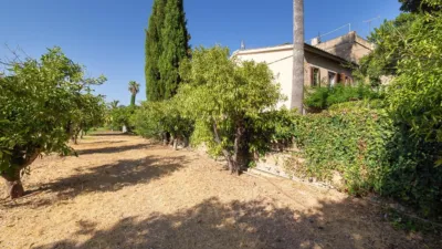 Rustic Finca in Establiments - Son Sardina photo 47