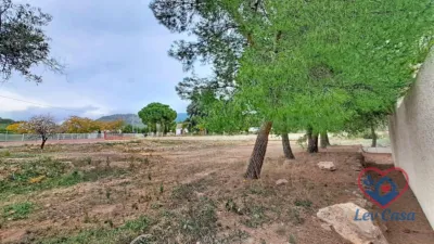 Rustic Finca in Montisol photo 24