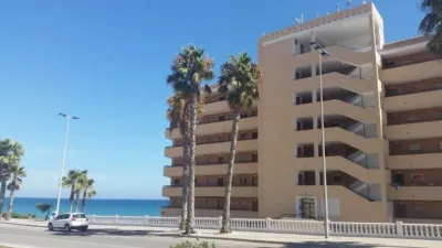 Apartment on Carrer Bogavante photo 20
