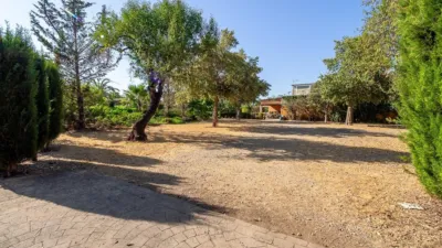 Rustic Finca in Establiments - Son Sardina photo 58