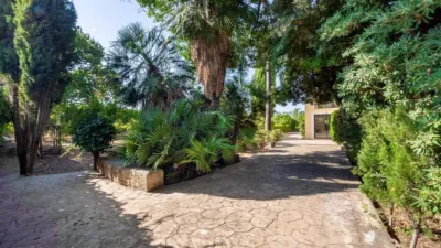 Rustic Finca in Establiments - Son Sardina photo 11