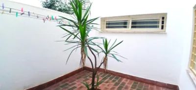 Apartment on Avenida photo 3